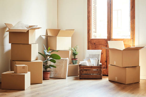 appartement vide